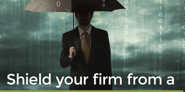 Download Shield your firm from a Ransomware Storm